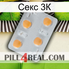 Секс 3К 24